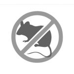 Uništavanje žižka u potkrovlju kuće