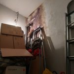 Uklanjanje budji sa zida