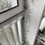 UKLANJANJE BUĐI SA ZIDA