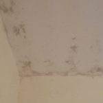 Uklanjanje budji sa zidova i plafona