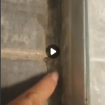 usluga uklanjanja plesni