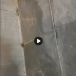 usluga uklanjanja plesni