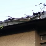 Замена кровног олука