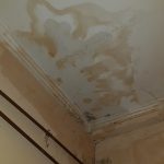 ovo je u najmanjoj sobi