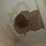 ovo je na jednom mestu u kupatilu. ostecenja jedino nema u velikoj sobi za spavanje. kuca ima 40 kvadrata