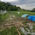 Primer nanetog blata