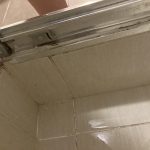 Reparacija tus kabine/ uklanjanje budji & zamena silikona/ osvezavanje fugni