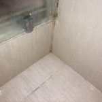 Reparacija tus kabine/ uklanjanje budji & zamena silikona/ osvezavanje fugni