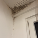 Potrebno mi je uklanjanje buđi sa zida