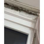 Potrebno mi je uklanjanje buđi sa zida